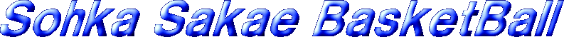 ʌs̃`[łB